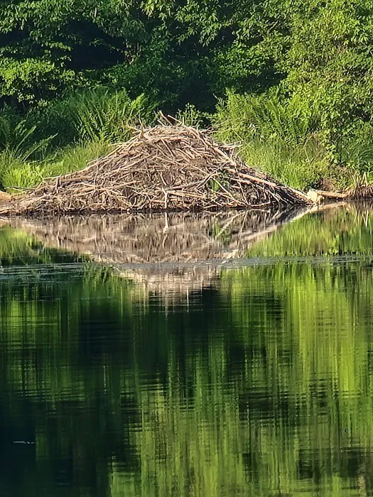 Saffin Pond Picture 3