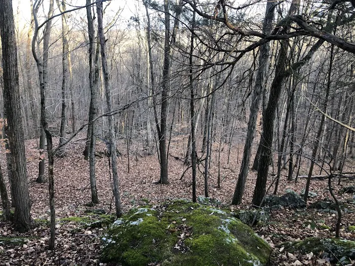 Minisink County Park Picture 5