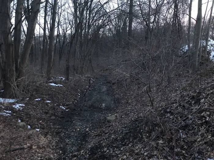 Berkshire Valley WMA Trail Access Picture 2