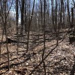 Ogden Mine Railroad Trail Access