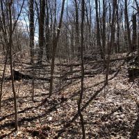 Ogden Mine Railroad Trail Access ico