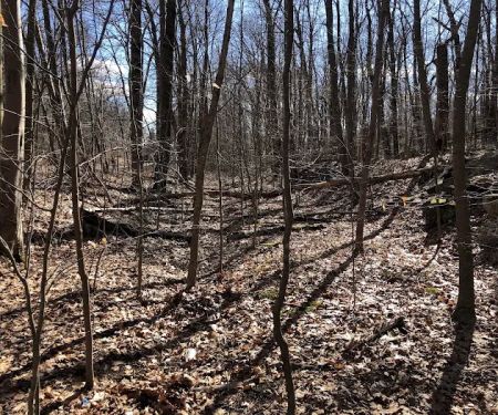 Ogden Mine Railroad Trail Access