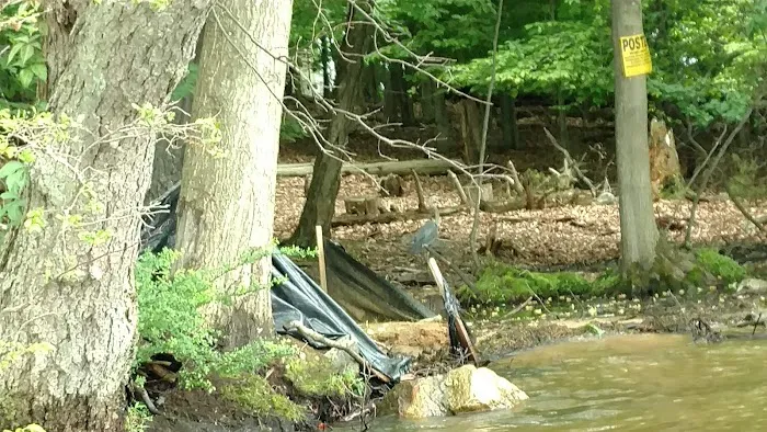 Minisink Park Picture 4