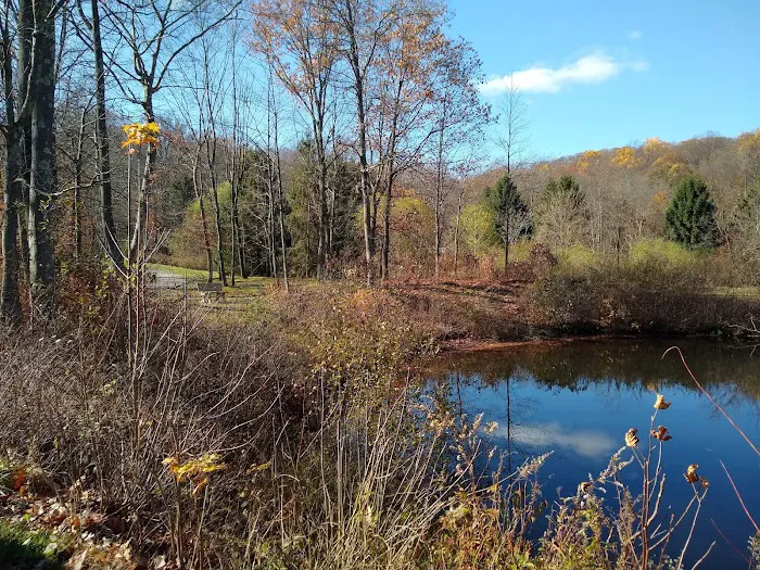 Mountain Park Picture 5