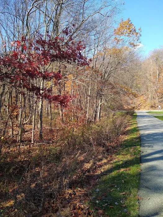 Mountain Park Picture 3