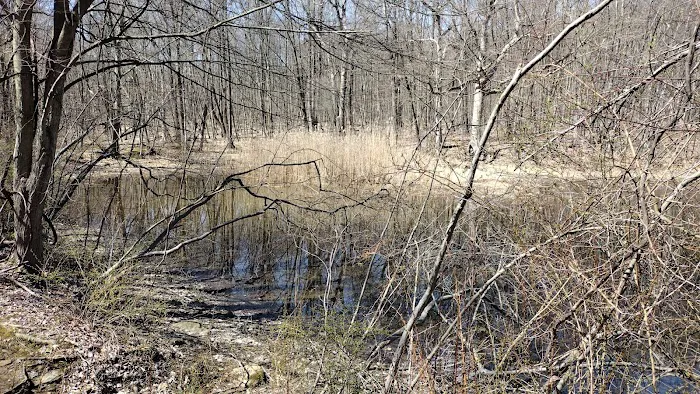 Ted's Pond Picture 3