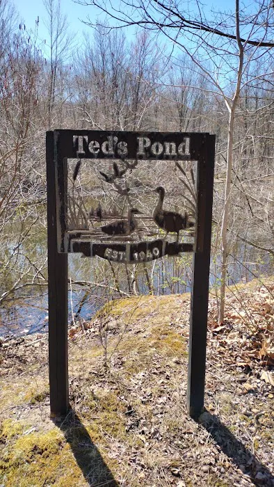 Ted's Pond Picture 1