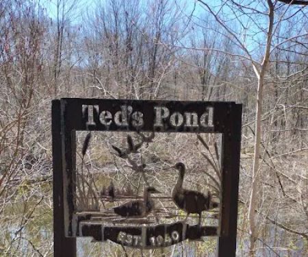 Ted's Pond