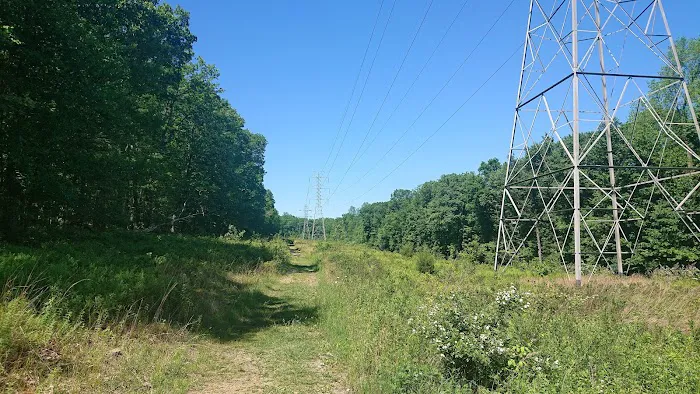 Hidden Valley Park Picture 4