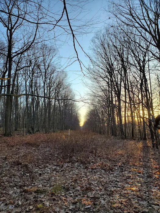 Hidden Valley Park Picture 2
