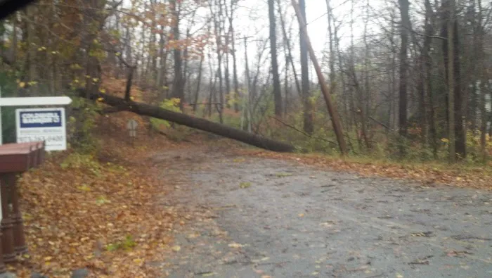 Hidden Valley Park Picture 7
