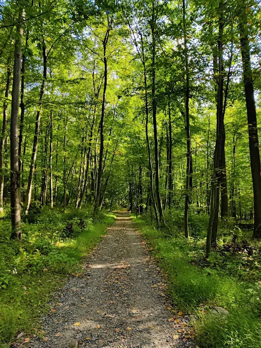 Hidden Valley Park Picture 6