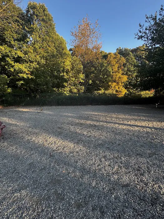 Randolph dog park Picture 1