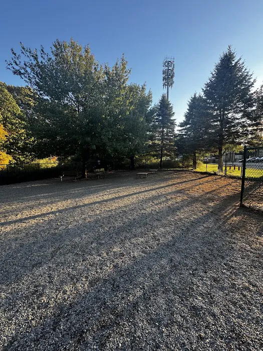 Randolph dog park Picture 2