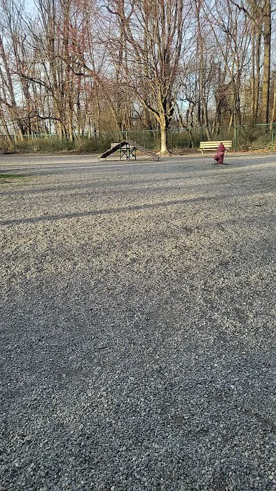 Randolph dog park Picture 4