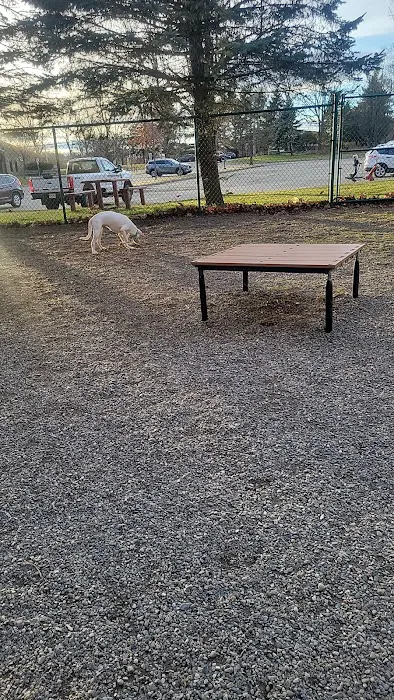 Randolph dog park Picture 3