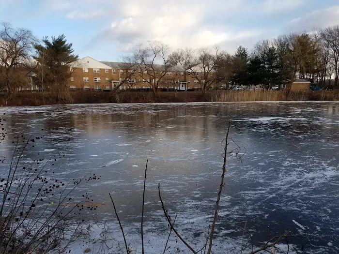 Dover Recreation Commission Picture 9