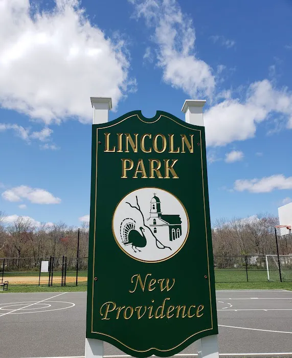 Lincoln Field Picture 5