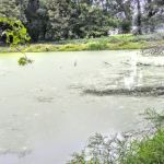 Meisel Avenue Park