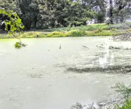 Meisel Avenue Park