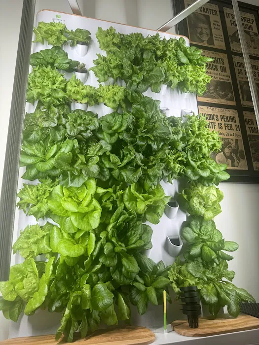 Vertefarm Picture 1