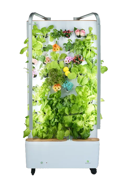 Vertefarm Picture 6
