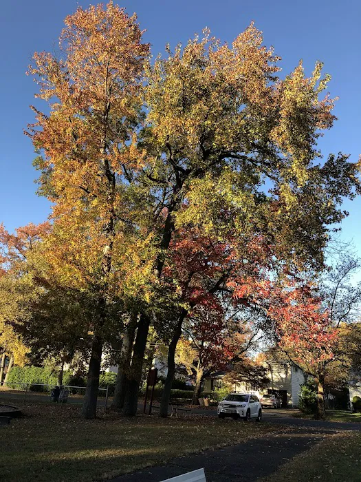 Irwin Park Picture 8