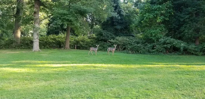 Washington Avenue Park Picture 7