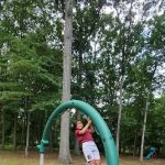Lion's Park