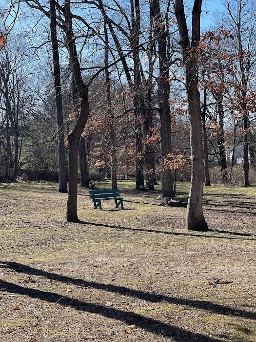 Lion's Park Picture 6