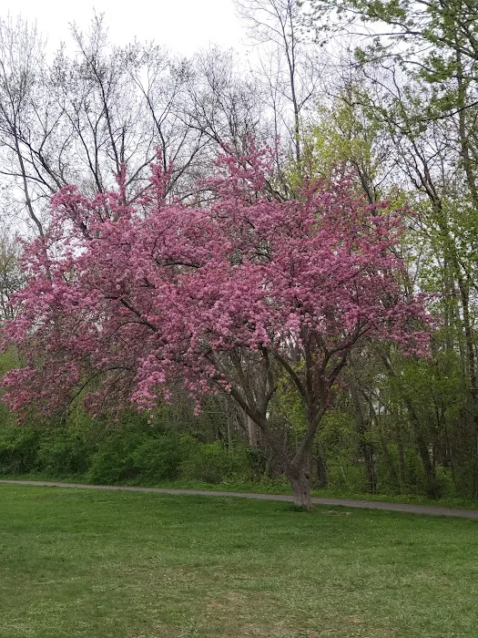 Jaycees Park Picture 6