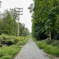 Lenci Wilderness Trails ico