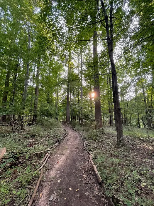 Lenci Wilderness Trails Picture 3