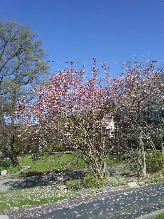 Township of Maplewood Department of Recreation & Cultural Affairs Picture 4