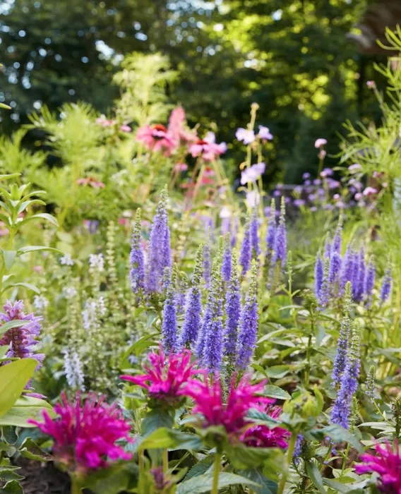 The Inspired Garden Picture 9