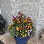 The Inspired Garden