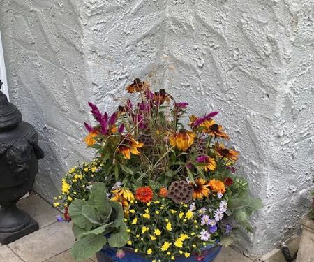 The Inspired Garden