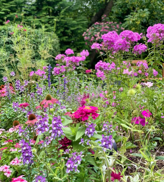 The Inspired Garden Picture 5