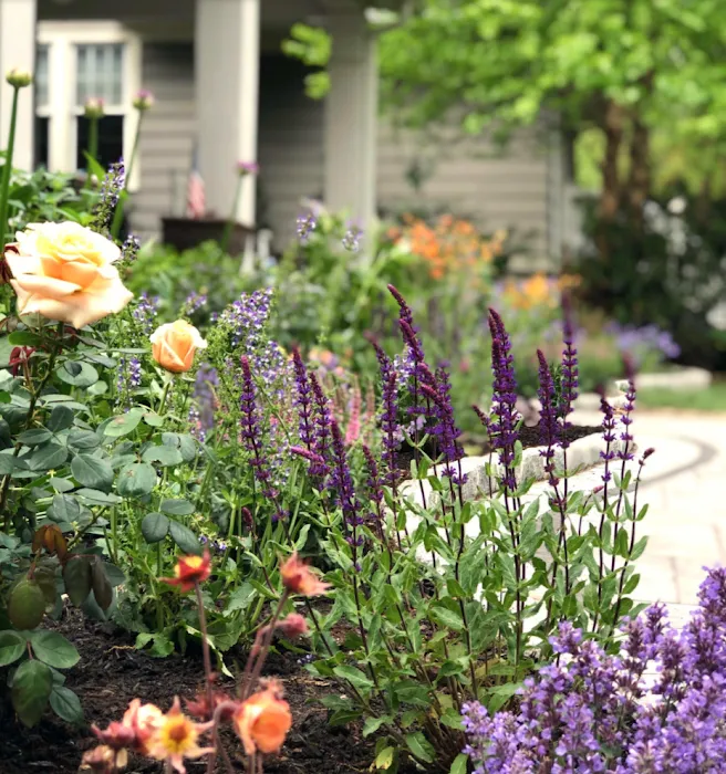 The Inspired Garden Picture 7