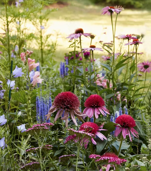 The Inspired Garden Picture 10