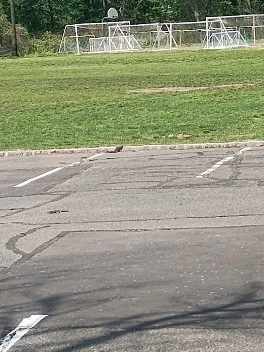 Kearse Park Picture 2