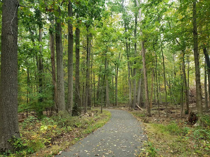 Freedom Park Picture 6