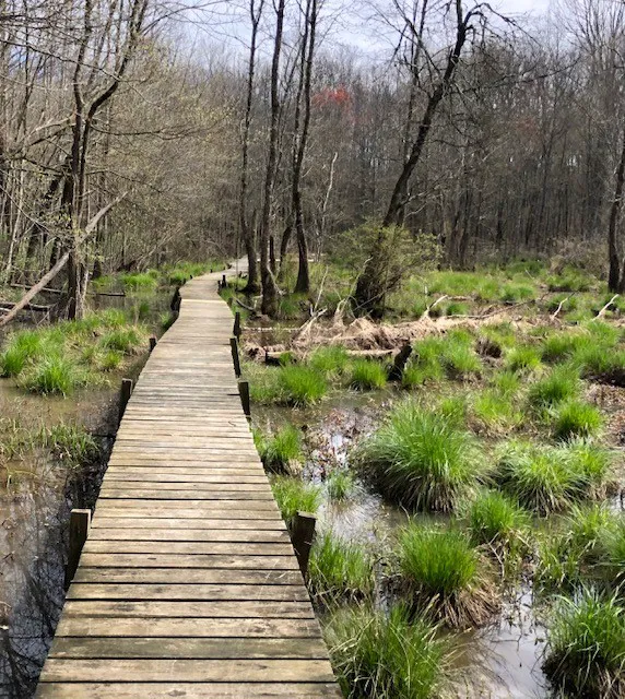 Great Swamp Watershed Association - Conservation Management Area Picture 10