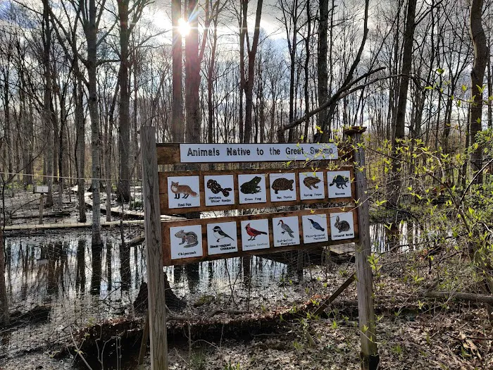 Great Swamp Watershed Association - Conservation Management Area Picture 7