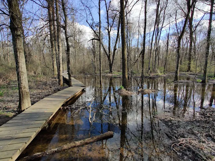 Great Swamp Watershed Association - Conservation Management Area Picture 4