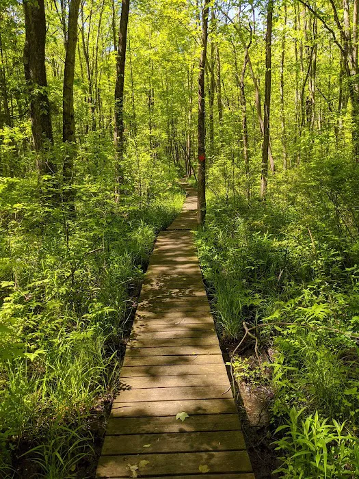 Great Swamp Watershed Association - Conservation Management Area Picture 8