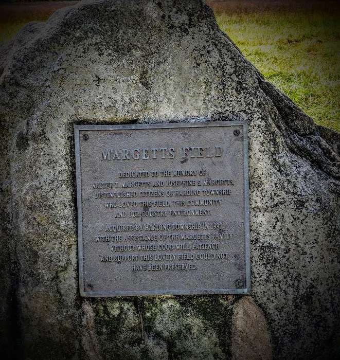 Blue Mill Fields Acq Picture 2