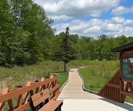 Green Trail