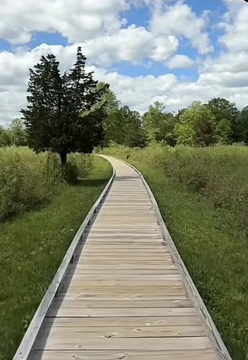 Beige Trail Picture 1