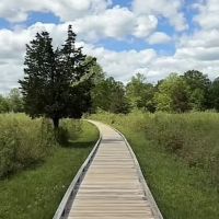 Beige Trail ico